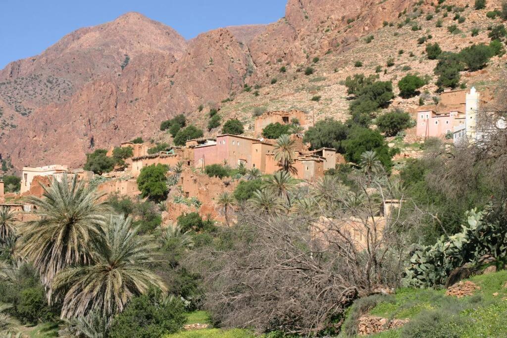 Riad Nadara, Superbe Riad Au Coeur De La Medina! Marrakesh Eksteriør billede